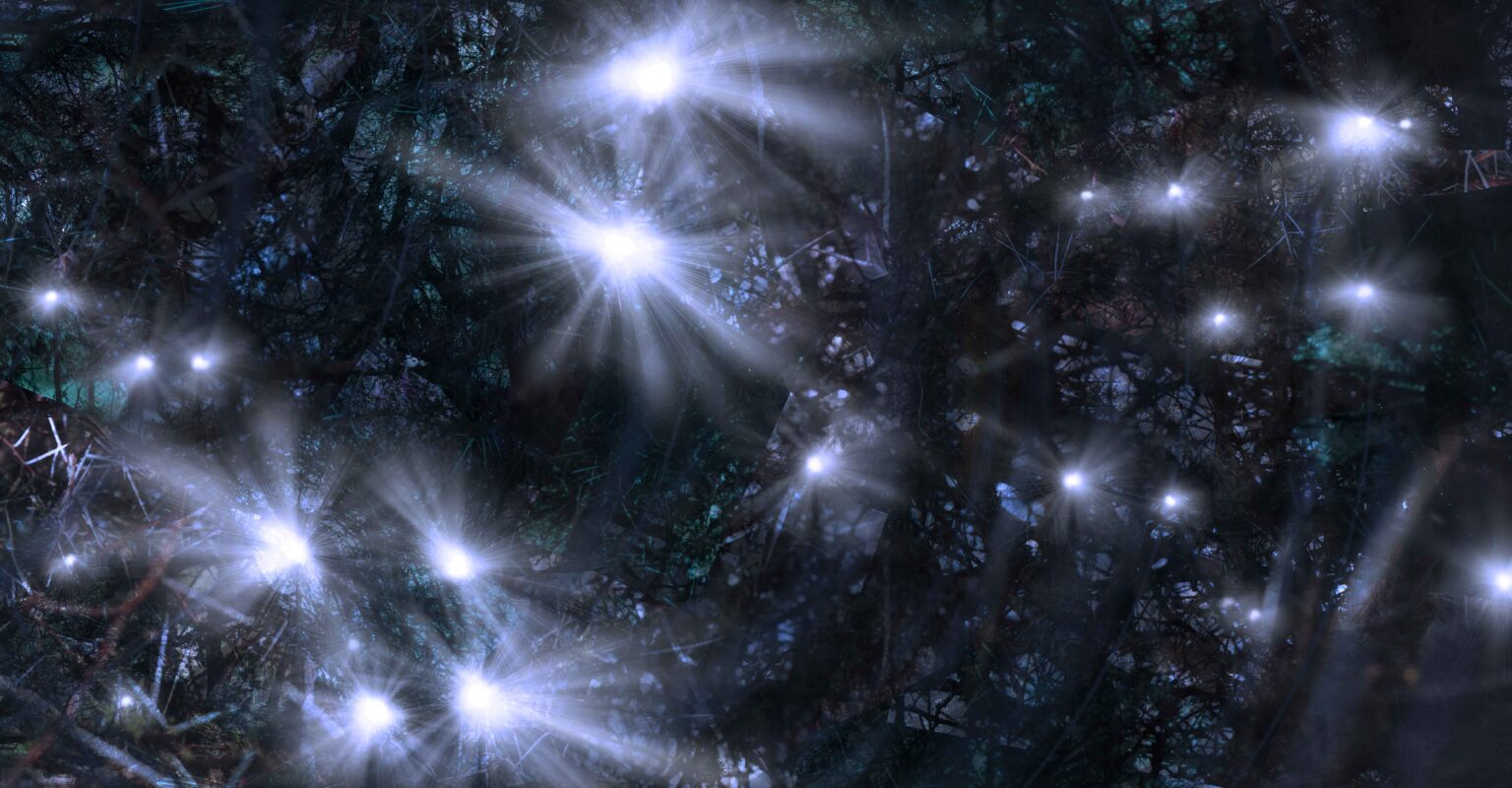 Crux, 2025, digital drawing and photo montage on Hahnemüle Photo Rag, 41,7 x 80 cm (image size)