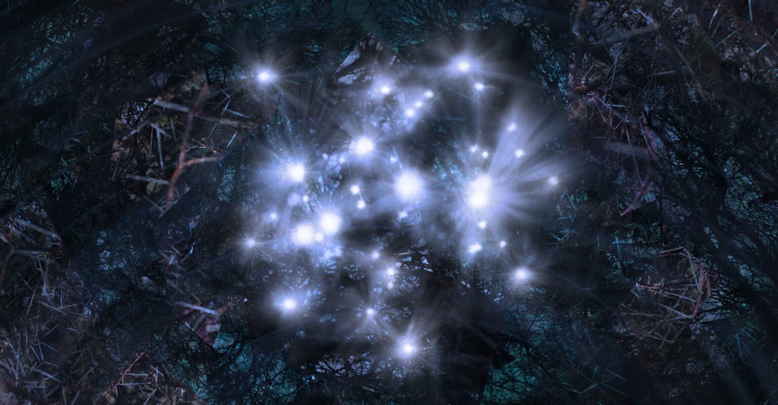 Pleiades, 2025, digital drawing and photo montage on Hahnemüle Photo Rag, 41,7 x 80 cm (image size)