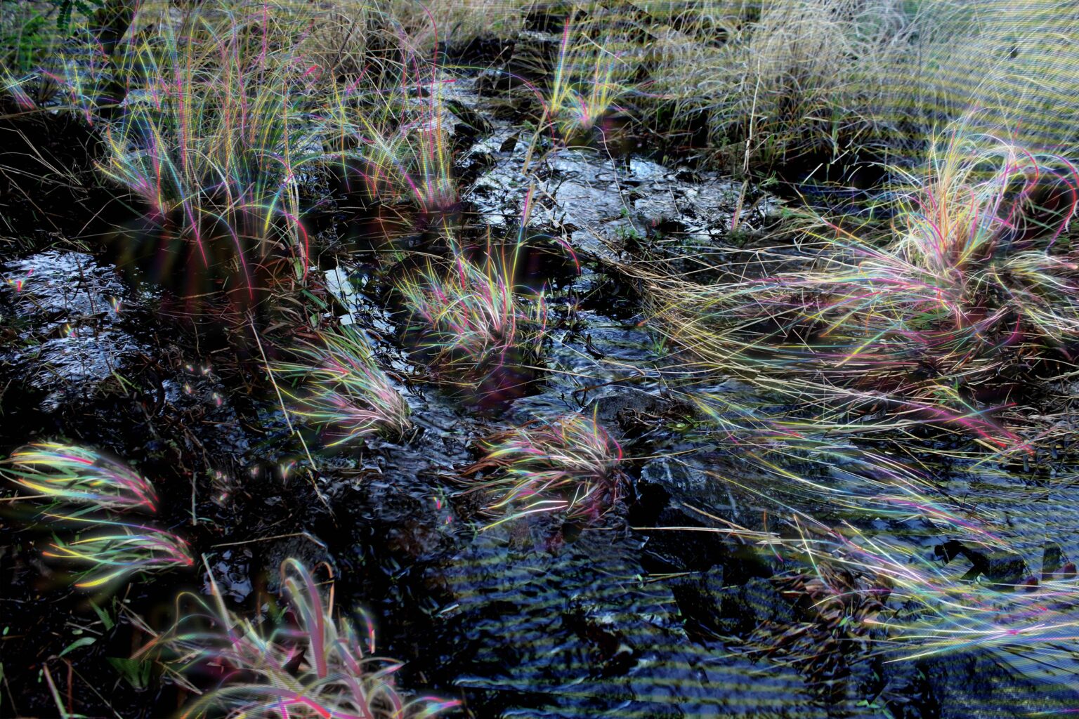 Processing Cycle, 2025, digital drawing and photo montage on Hahnemüle Photo Rag, 51 x 70,5 cm (image size)